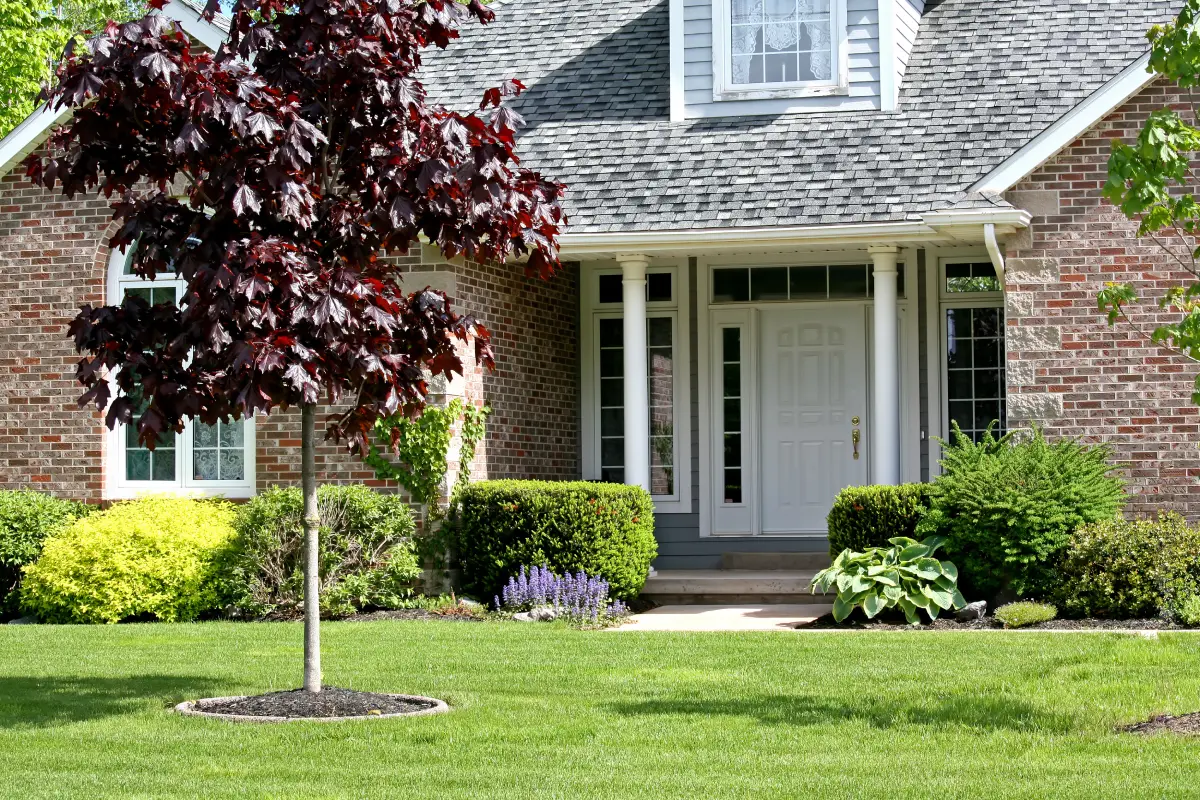 Inside Charlotte’s Residential Flow, Traced Through Single-Family Homes